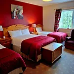 Avenue House Bed & Breakfast
