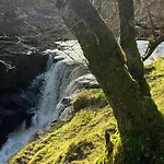 Avenue House Bed & Breakfast Ballyconnell (Cavan)
