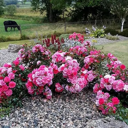 Lake Avenue House Ballyconnell (Cavan)