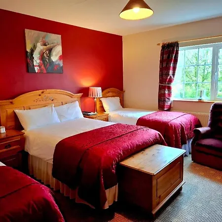 Avenue House 3* בליקונול
