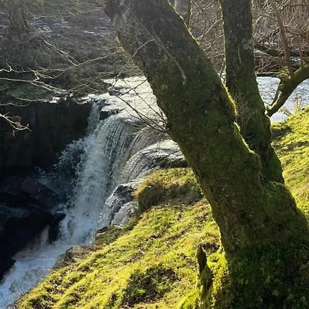 Avenue House Bed & Breakfast Ballyconnell (Cavan)