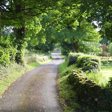 Lake Avenue House Ballyconnell (Cavan)