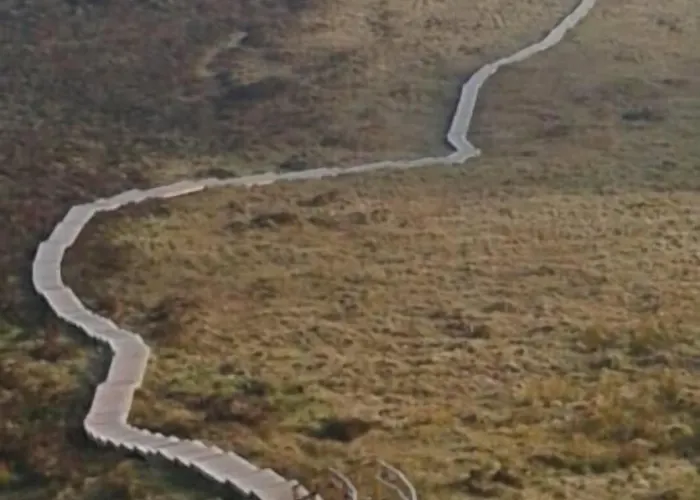 Avenue House Bed & Breakfast 3*