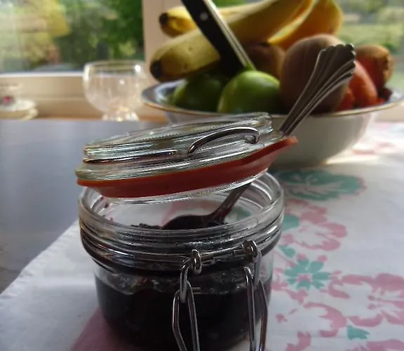 לינה וארוחת בוקר Avenue House 3*